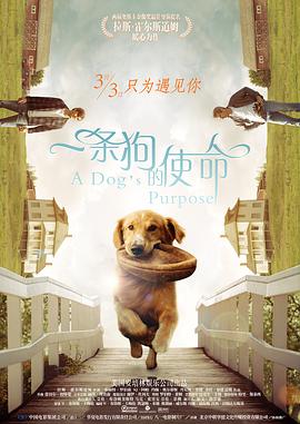 h片在线