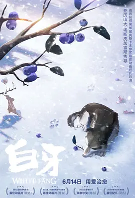 一区二区三区国产精品视频