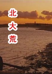综合88