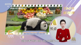 黄a毛片
